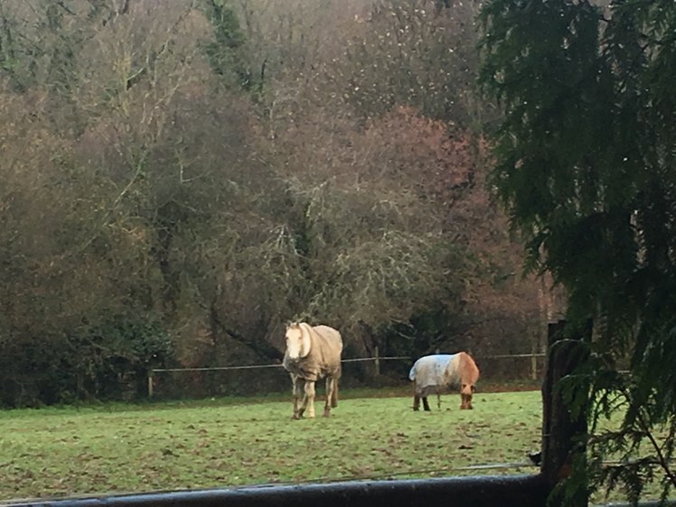 5445E56E-4054-4517-8FC5-D3E1067ADF85