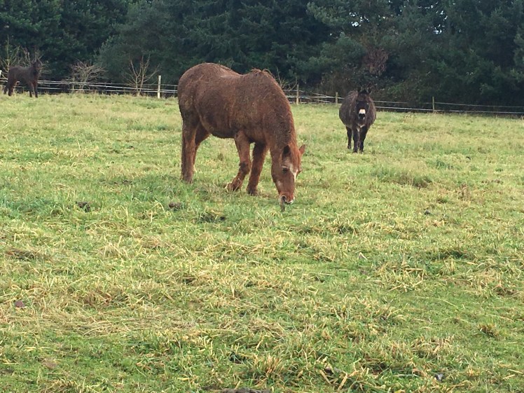 58ED9C1F-D68A-4826-98A4-71DDC019AA24