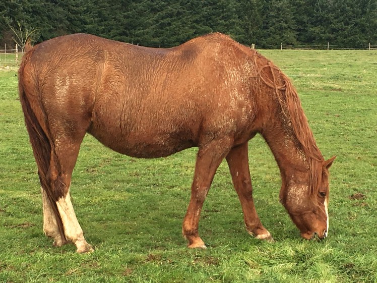 5AB20061-EDF3-4B03-B770-5A4E4A167807