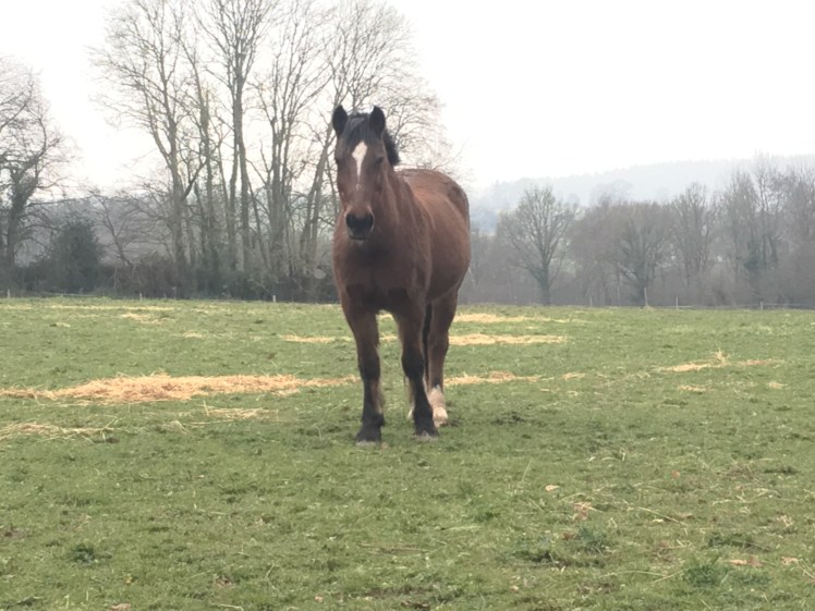 5D360C9A-1A93-447C-A7D4-57EA465CA4FC