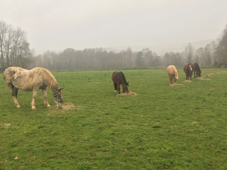 789D0B95-4289-402F-A66F-272BE58F0B20