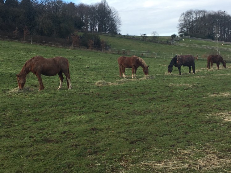 7C6F0543-B119-44E2-82CB-51EF8D8E4707