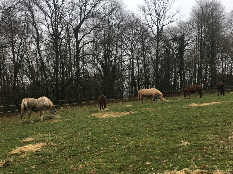 8A8B43DB-120C-4737-B1A5-273444848398