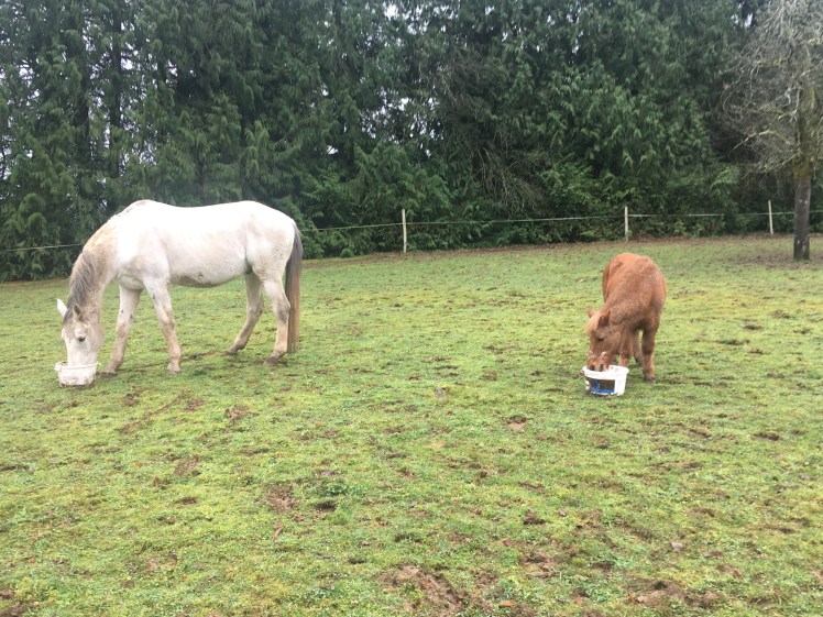 9473C5D5-0035-4DF9-8686-F80E98E86447