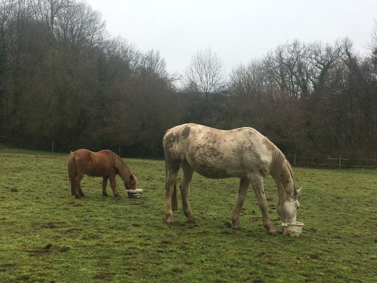 9DCC214C-4396-47CA-BDEB-4AC9529C3E83