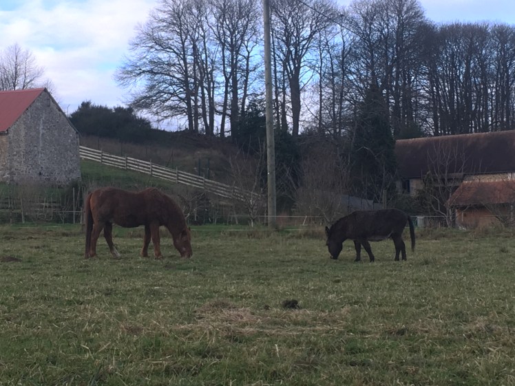 A9C7F82F-B42E-4946-89F5-AEF0DC8E8CDD