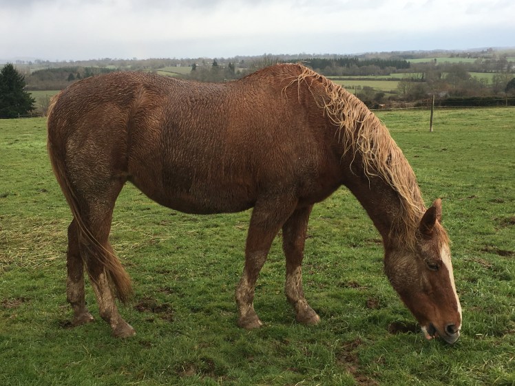 AC6DDDCB-B9A3-4077-9DAD-06FEEC5BB4E6