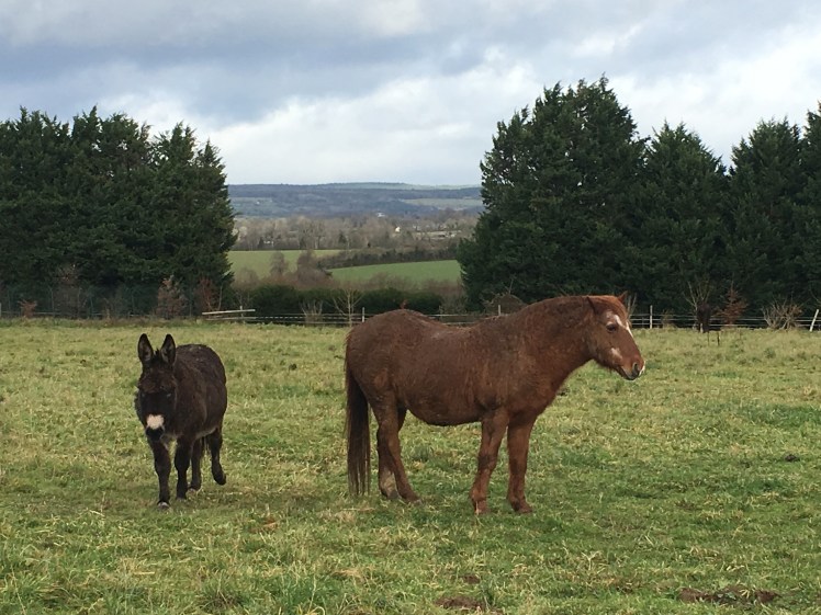 B9121A86-BB13-4650-A3E7-9D702FF0CDEF