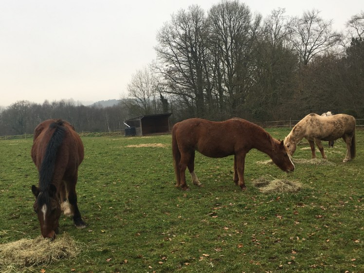 C1DC7845-1E26-49EA-99A0-5CF5745A3476