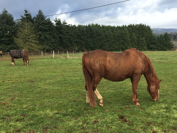 C2D19C53-AD40-40CB-8887-D13777CC4DE4