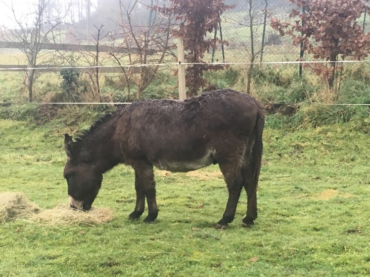 C7E3A7C4-8A76-4624-9506-EFDDC18F9DF1