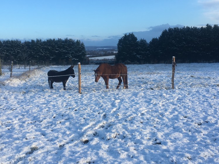 CF4D5F2D-5757-4712-B5A3-E631B6C0BB29