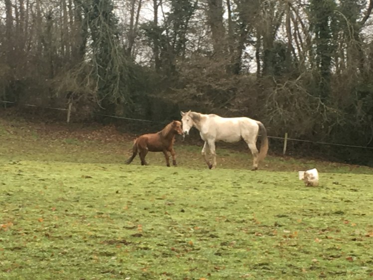 DCEEACFA-1BEE-41C1-A677-59C84AF2CE0E