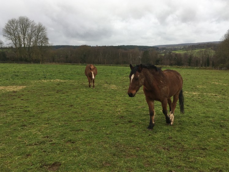 E1440E8A-F1B0-4FA5-90FD-489345C5E29A