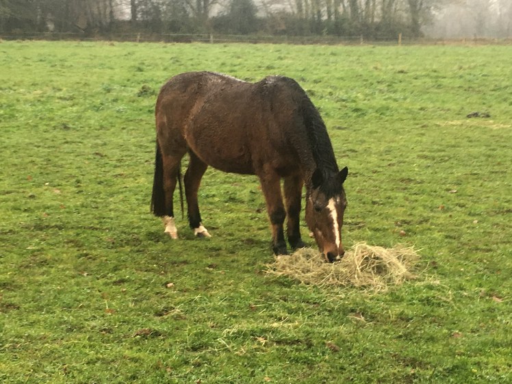 F643222B-025A-4617-A788-62B2F3CE9793