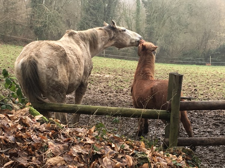 053979AA-AC2D-4D7C-9FCC-19DD34A40C19