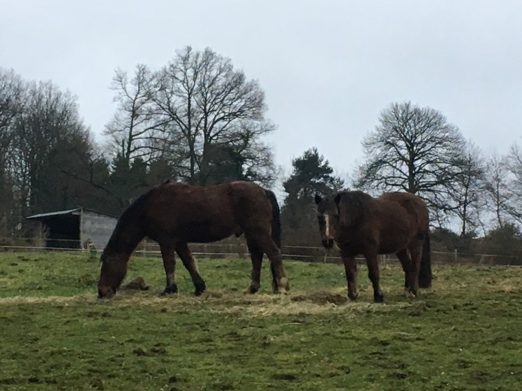 077BE4D4-1839-40F1-9CC0-A4BCFA66C842