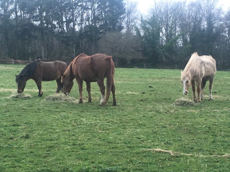 0D8DF316-8E44-43BF-B936-53C05704037B