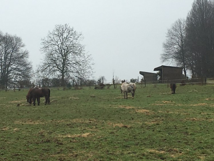 0ECFF1D4-72CD-470B-ABAF-6C2C1B287FCB