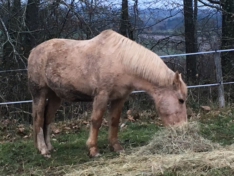 0EE8DA84-CF72-4C60-8487-8DFDC764D3DD