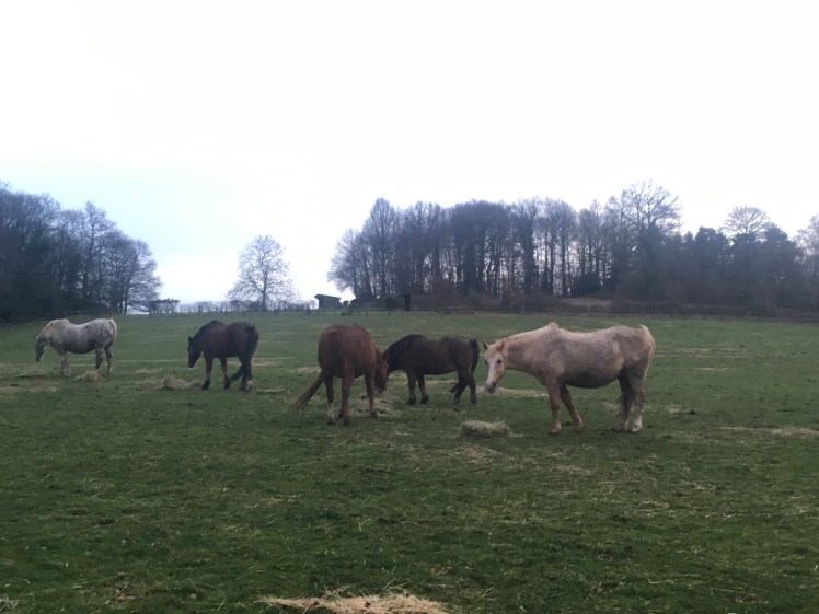 10D88797-50C5-4E94-B77B-3FAC0D49F750