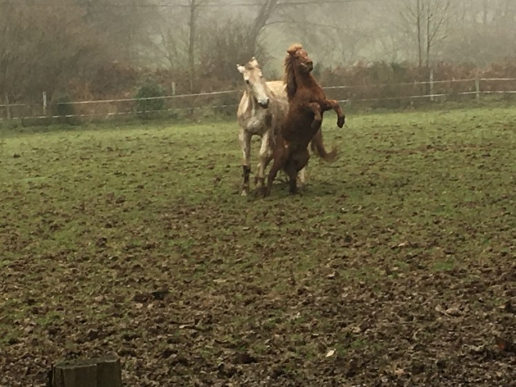 127B689E-D6EC-4125-9C4A-0CE0014FF70C