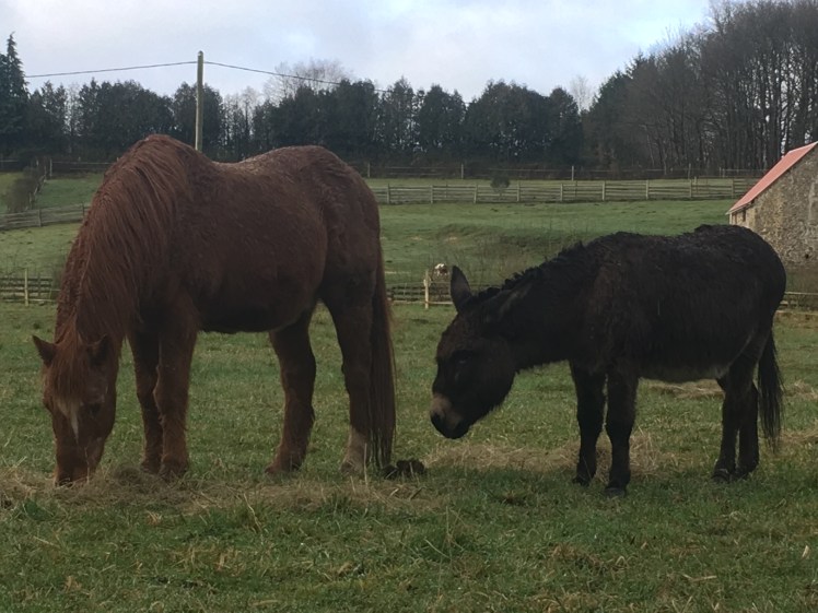 2018B6F9-BAA0-4645-A36F-201F2E2194AE