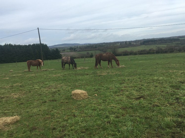 20343478-C9DE-4A29-8D37-930F13C7FD82