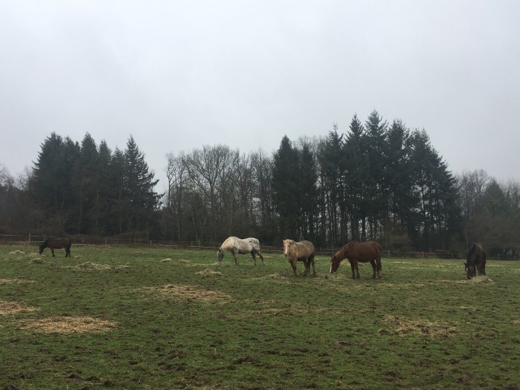 22AA2438-436C-442C-9EEC-5FE4B71C1C9A