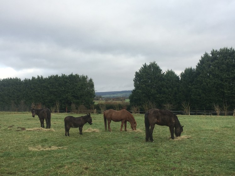 2425D354-7AF0-4671-B1DB-583310AE70E0