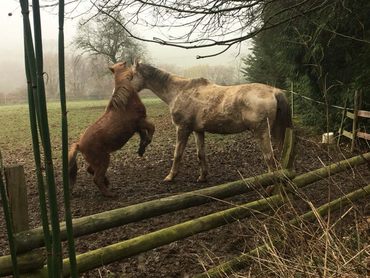 311D820B-A113-4237-9BD7-1490834B6811