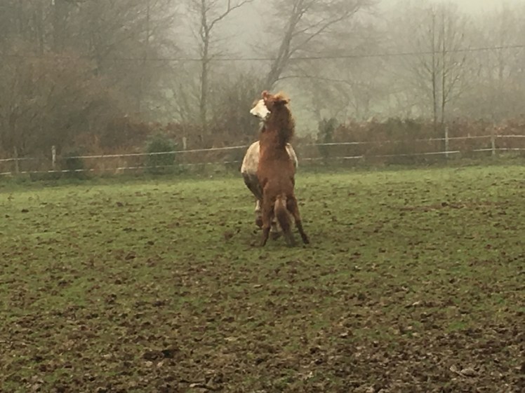 33A69BFE-E5B4-4913-8036-1D793D9F7BEE