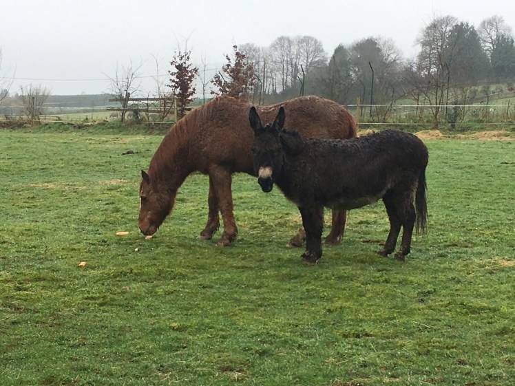 54F3C517-2A9A-45C2-A96D-4550698DA5DA