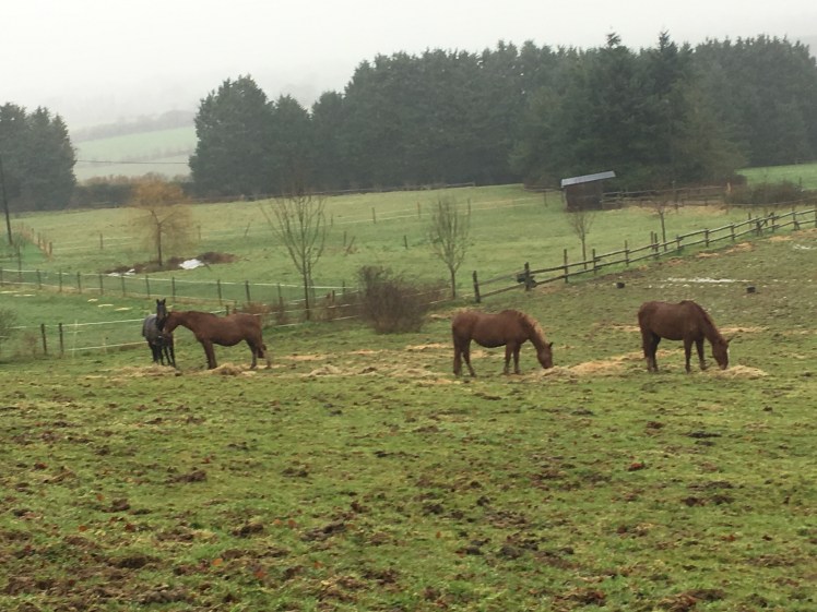 60A1D315-A247-44BA-B23C-8A5B1A853023