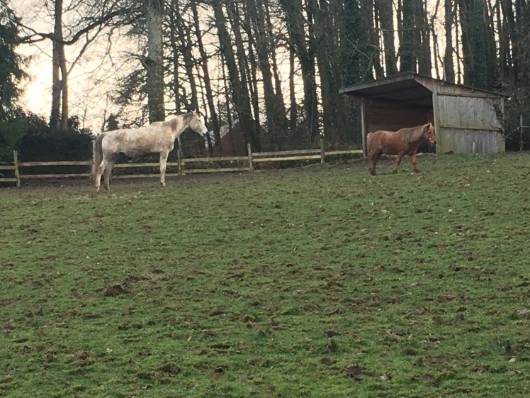 60CCAEBA-79E2-4542-BE97-6C6B5CE79CD3