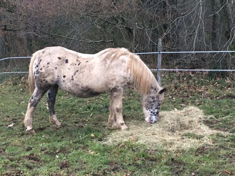 6A96EE12-1FCD-4B38-8F33-E6656F0A7EF2