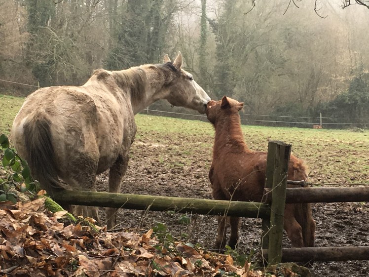 6F9948A8-4A94-498E-A06B-F6397DDCFC4A