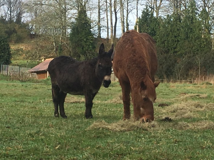 702735C2-58AD-441C-8DEA-97817CBCA0E7