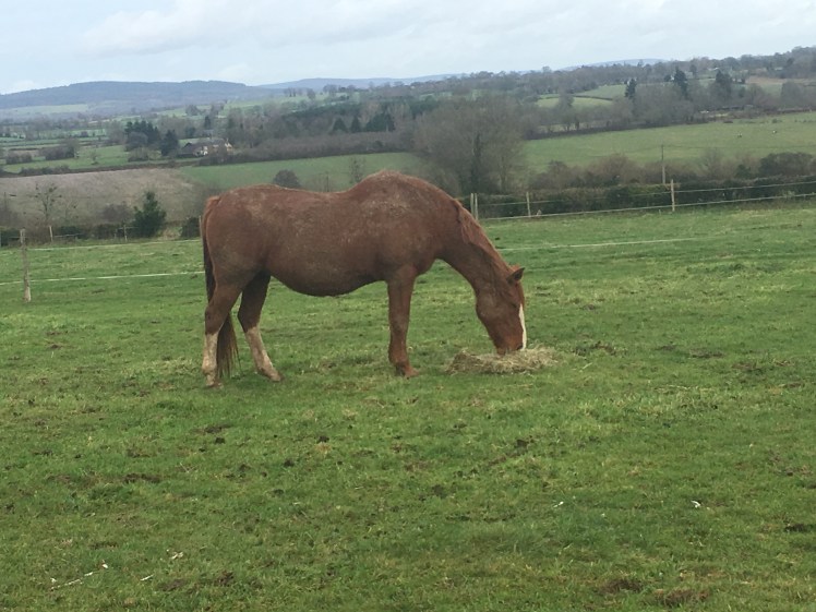 71E2355C-6189-4BED-809A-898207B74F77