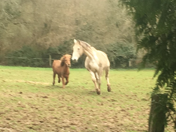 7599F2AC-FD81-4CAB-9F51-B5ED3D7F79BE