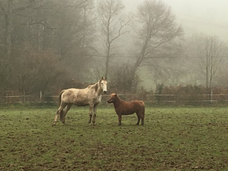 7B1EF07B-63A9-4EE1-B75D-377BDBD635BD