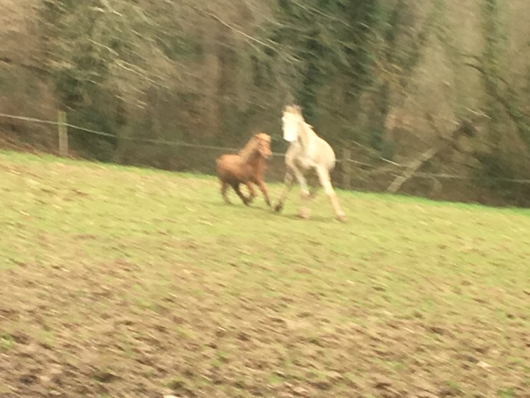 7D64AD5F-3F69-48D8-8853-37A4365E5BEF