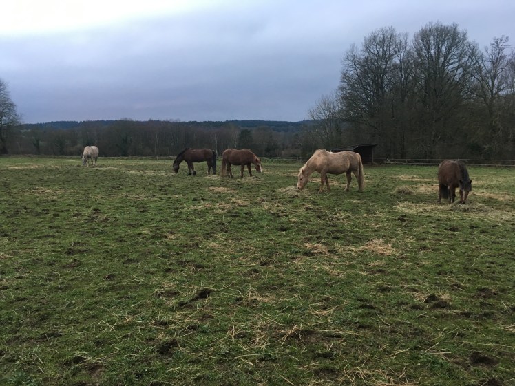 7E08DA7E-B2CD-4554-B2D5-D26B9C086EE5