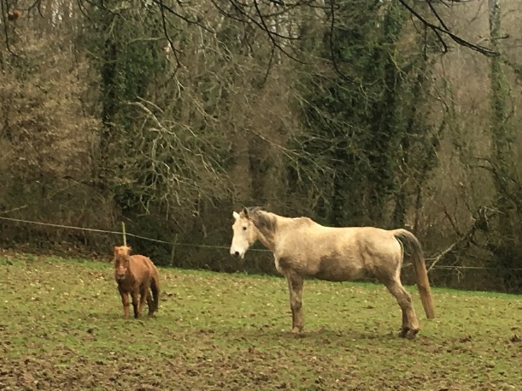 8DE427B2-1033-44FB-AE55-C967FE4A8851