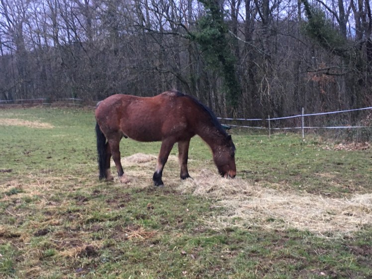 92E6EF1E-BCC0-47E4-974B-222B2CEF62E7