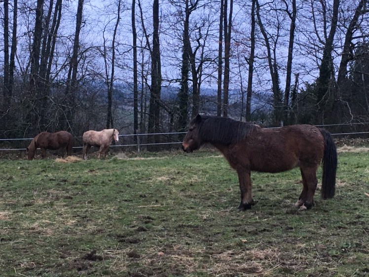 99CC2442-B497-4D3F-B72C-0A59E7CD0CB7