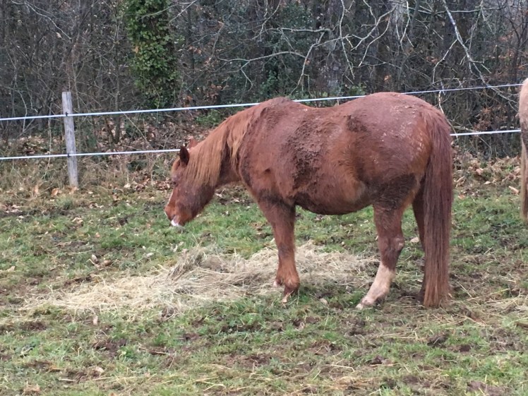 9AEAD4D7-C465-4C6F-AB8E-D080A36128B8