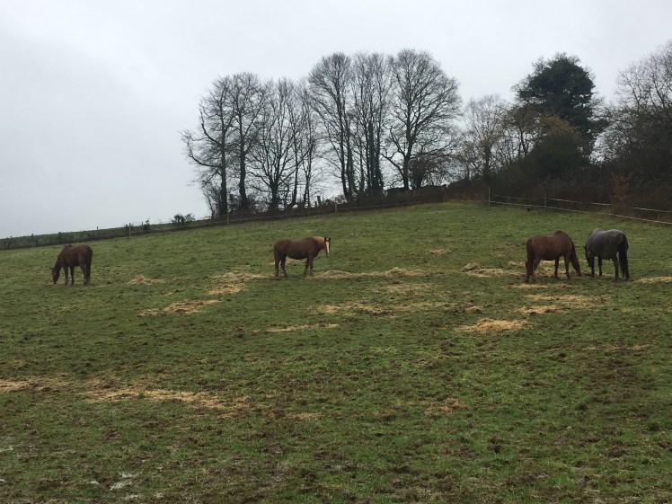 9DAC9918-3979-4CF2-9E87-6265C8E0EB72