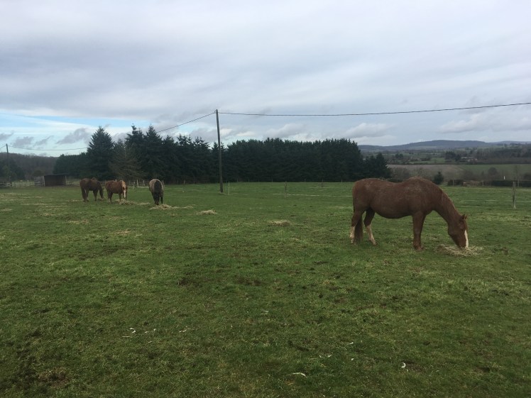 A01CB18D-20C3-4984-9B1B-5C3D16B7ECFF