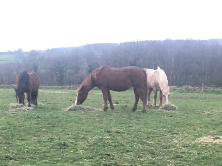 A1CAAD15-6B72-4745-8DAB-216B60F17A08